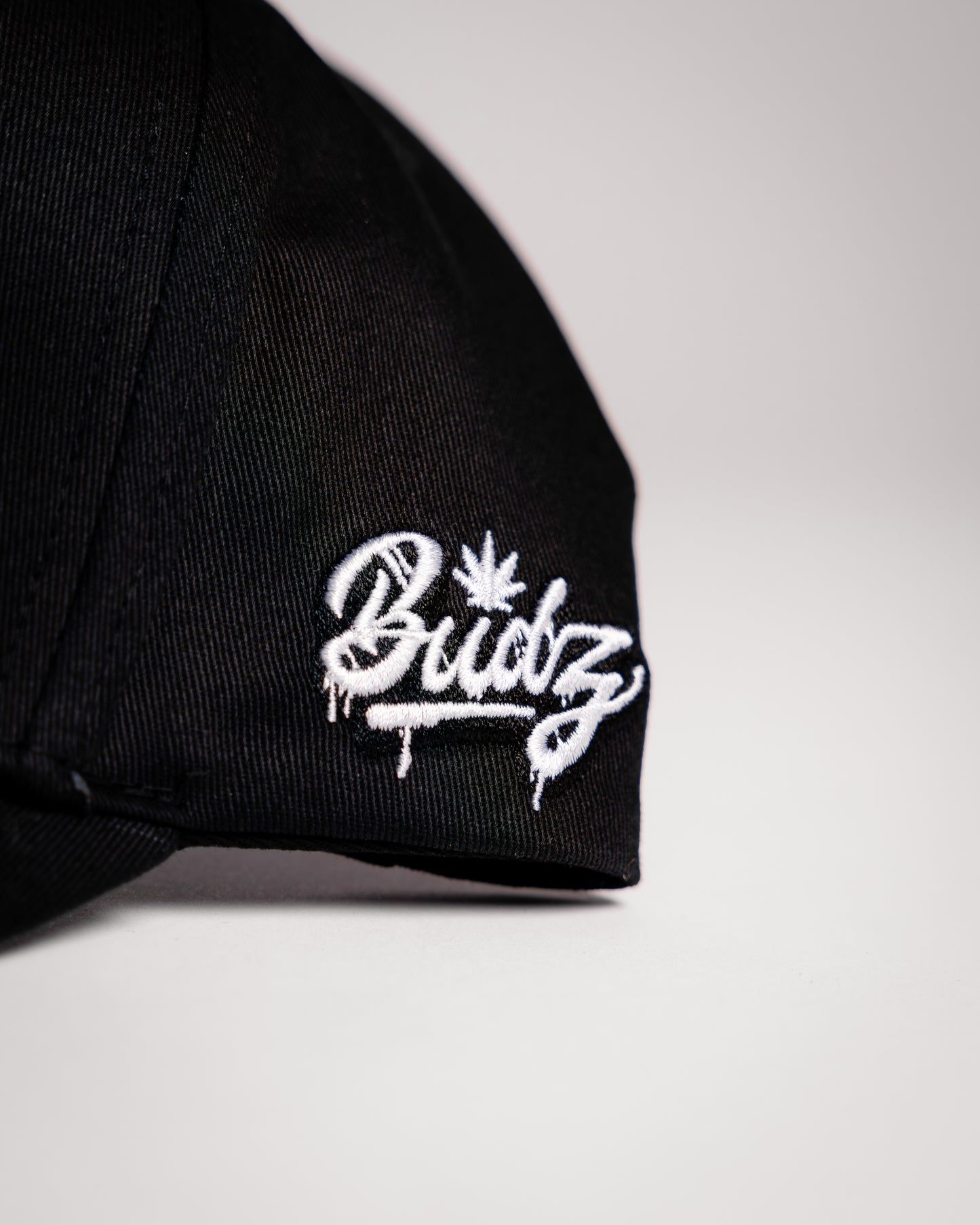Original Logo Snapback