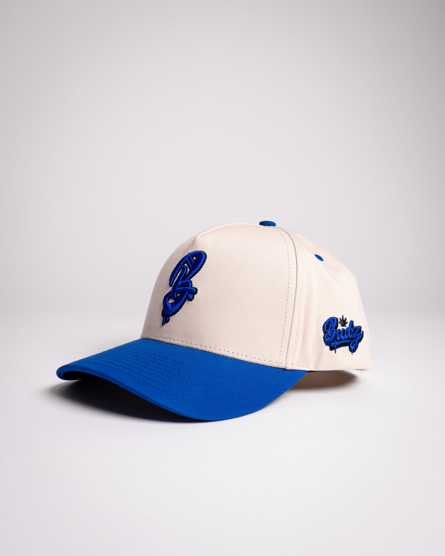 Logo Two-Tone Snapback