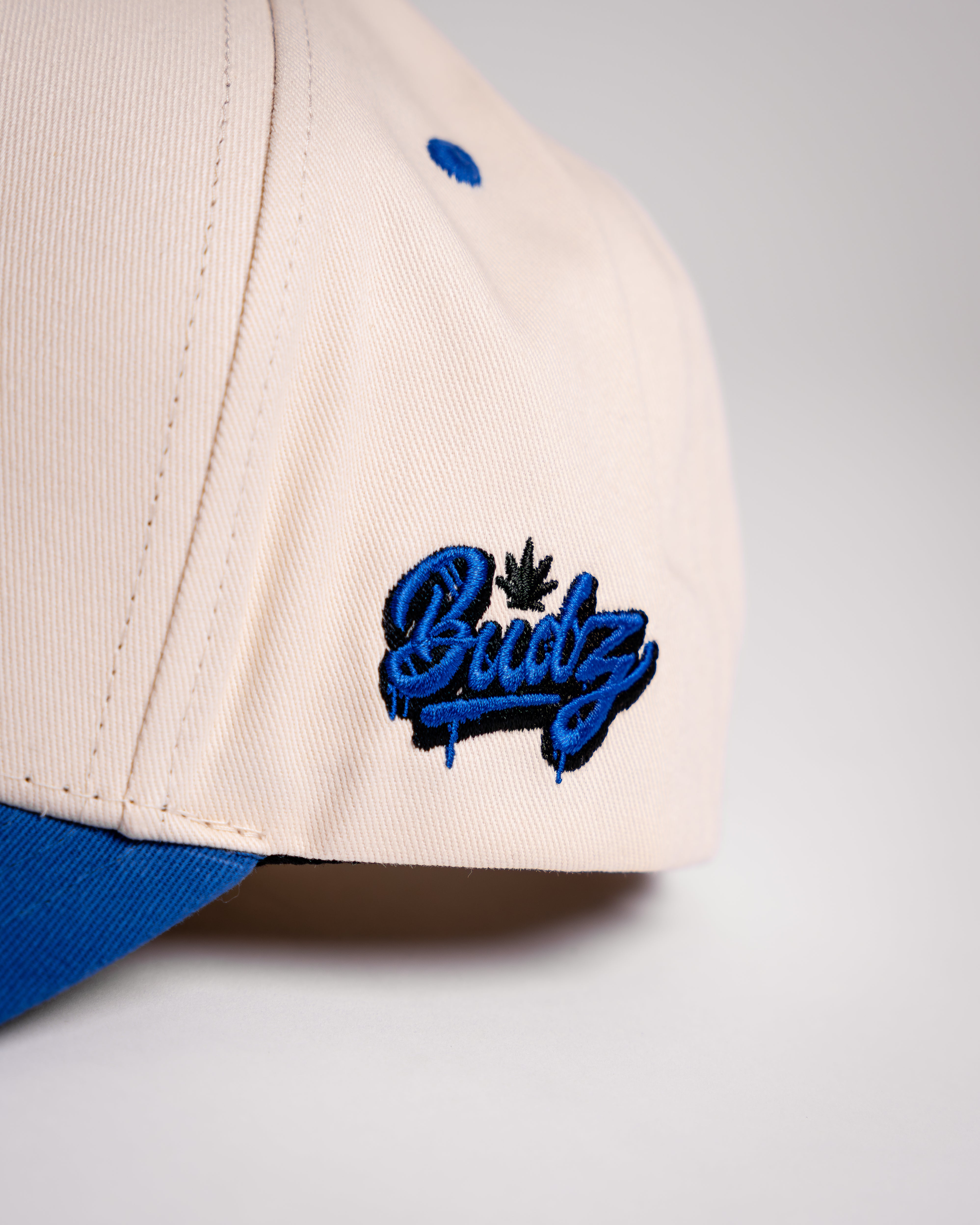 Logo Two-Tone Snapback – Budz Brand Co: Official Store Logo Two-Tone Snapback – Budz Brand Co: Official Store