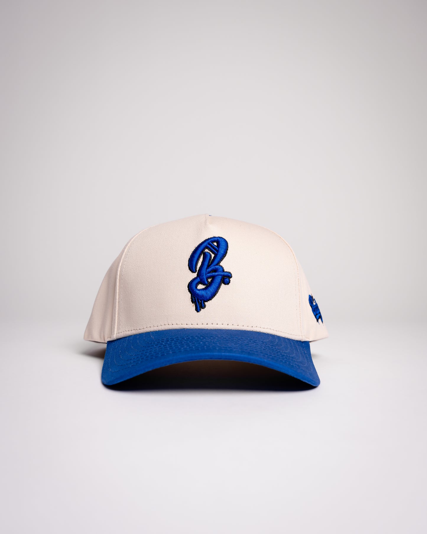 Logo Two-Tone Snapback